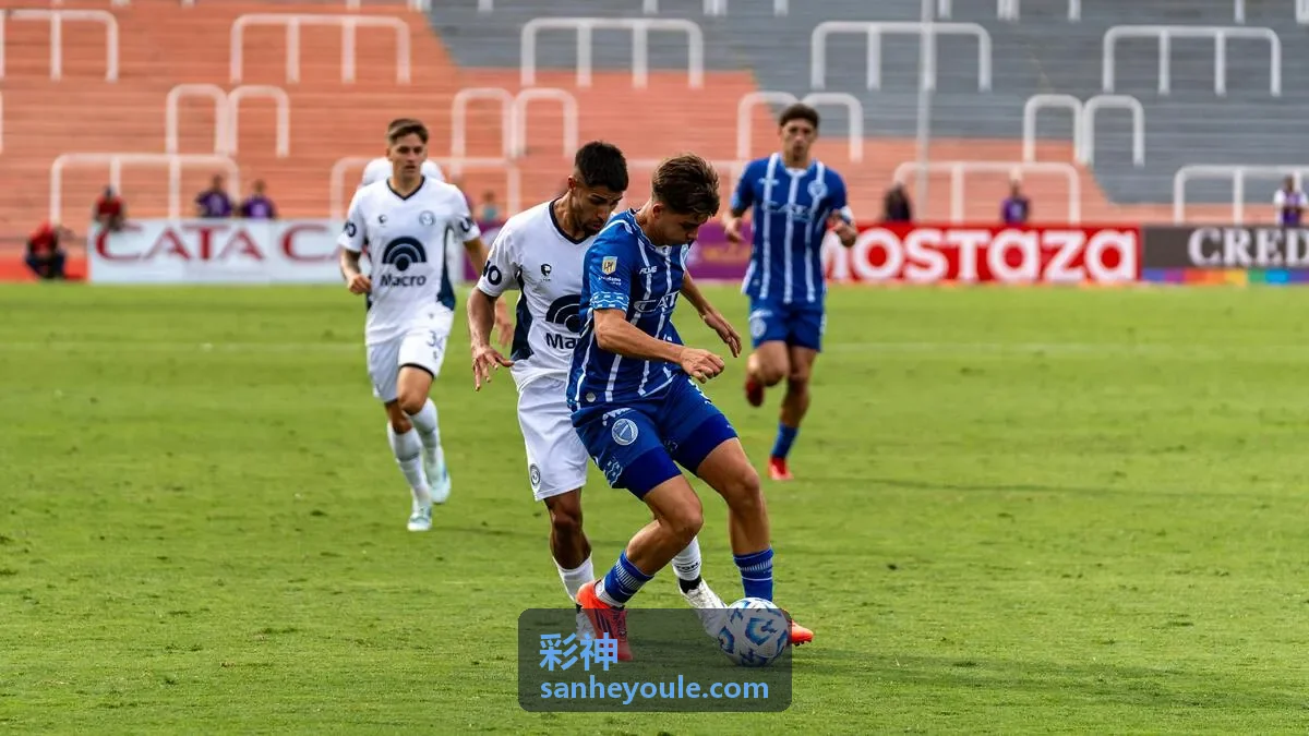 彩神数据面板